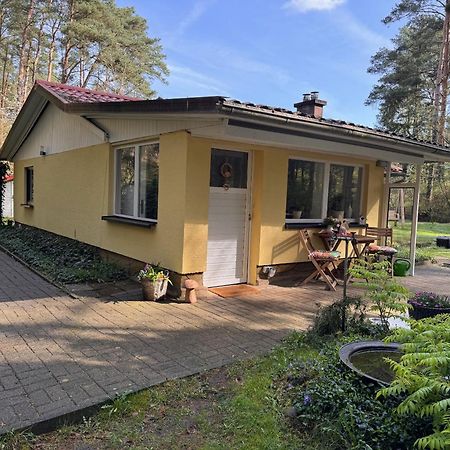 Ferienhaus Im Wald Borkwalde Екстер'єр фото