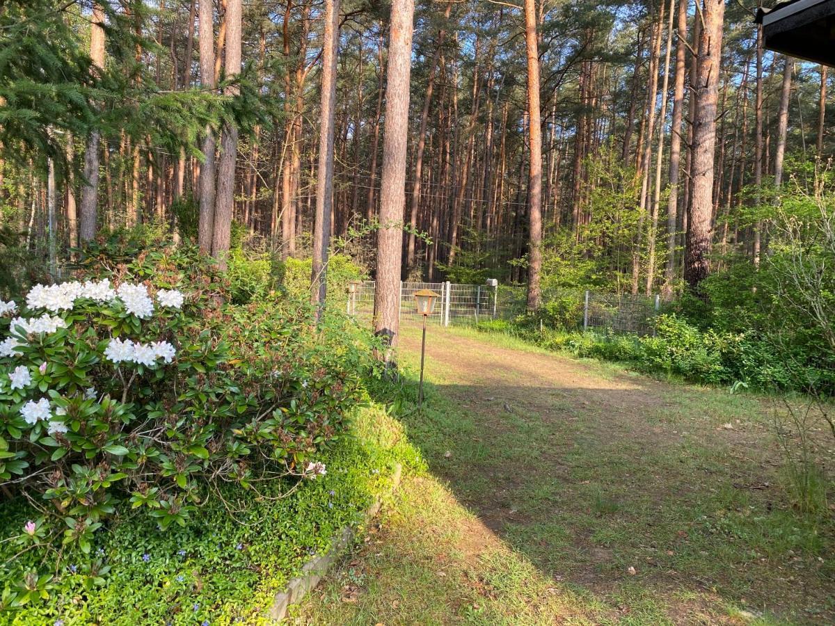 Ferienhaus Im Wald Borkwalde Екстер'єр фото