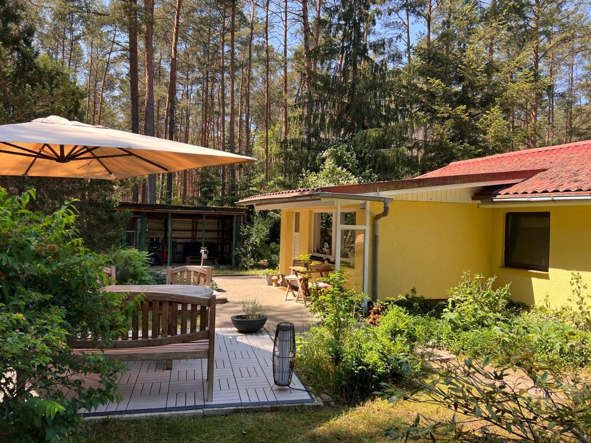 Ferienhaus Im Wald Borkwalde Екстер'єр фото
