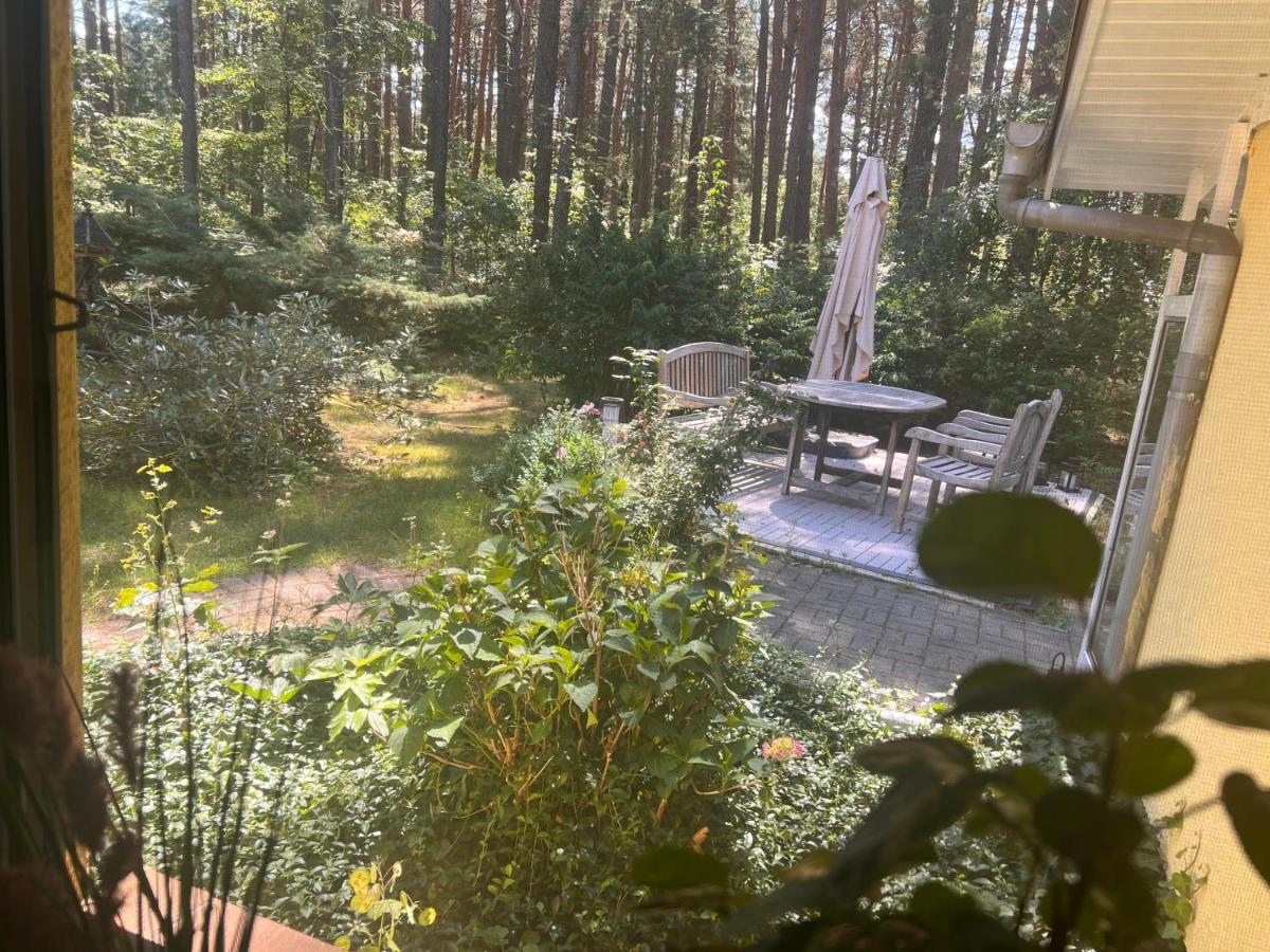Ferienhaus Im Wald Borkwalde Екстер'єр фото