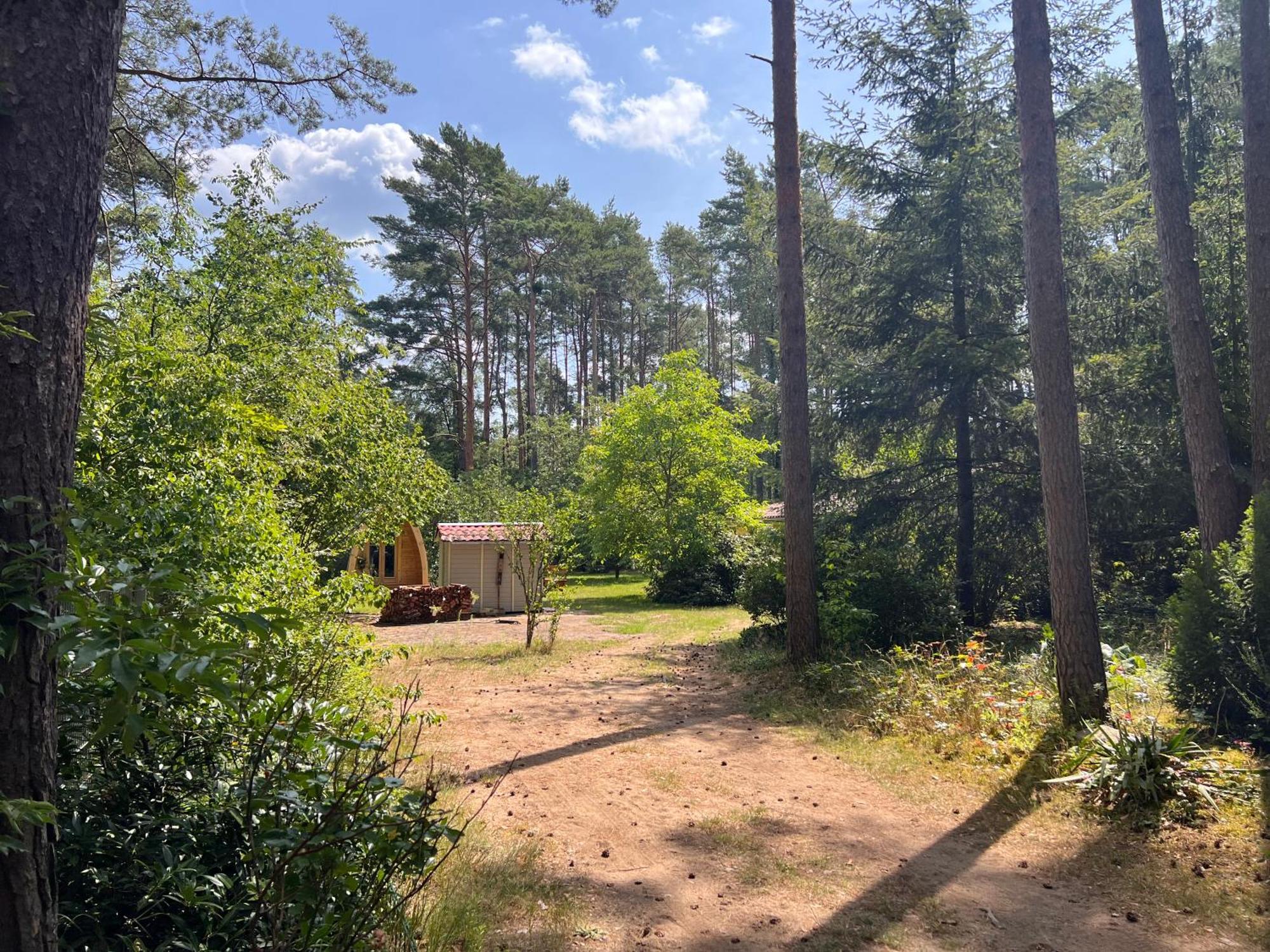 Ferienhaus Im Wald Borkwalde Екстер'єр фото