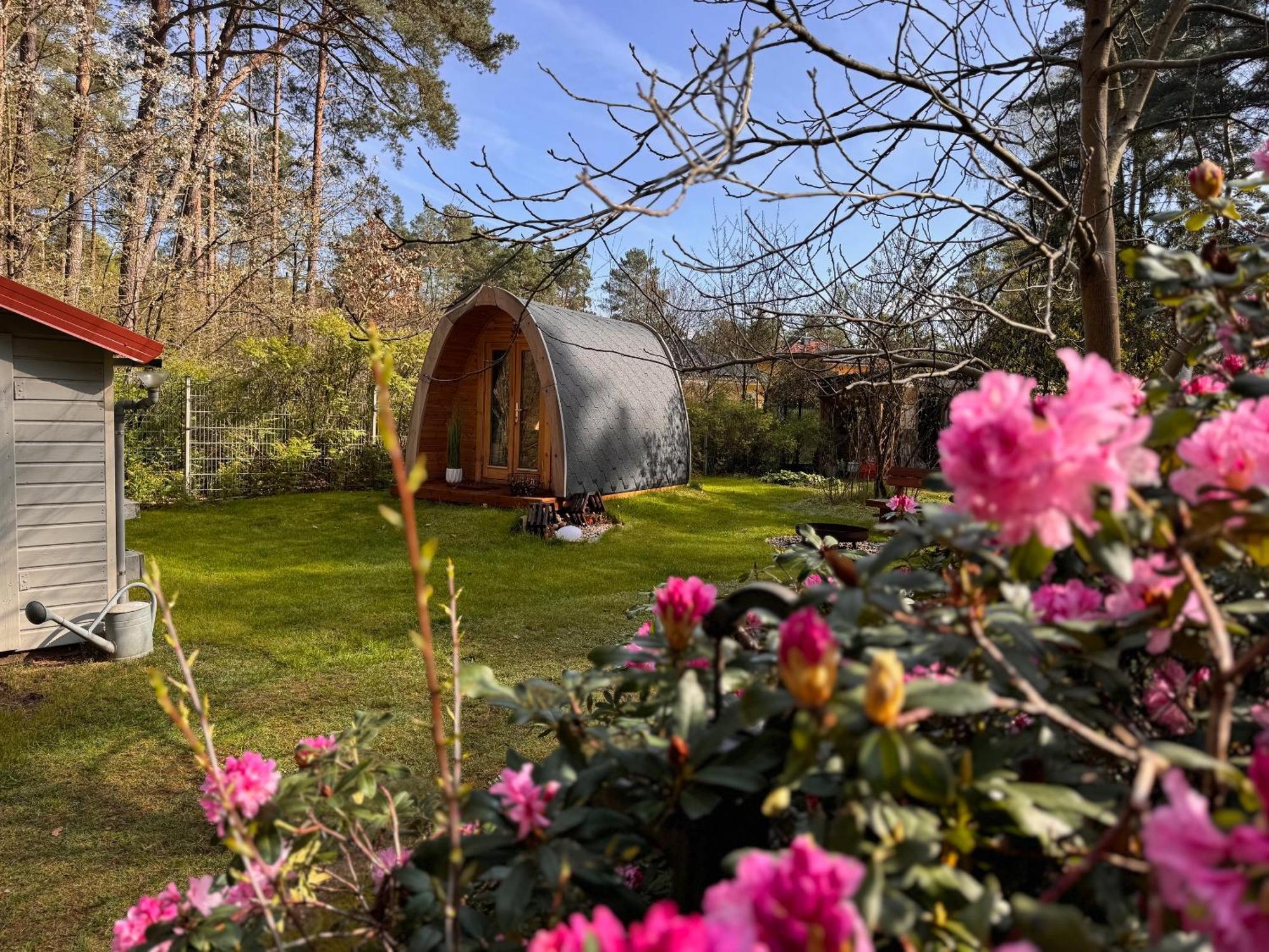 Ferienhaus Im Wald Borkwalde Екстер'єр фото